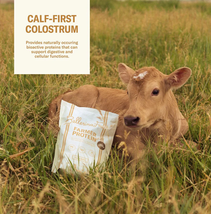 Grass Fed Whey Protein Powder